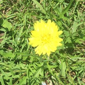 Meet your Posher, Gloria